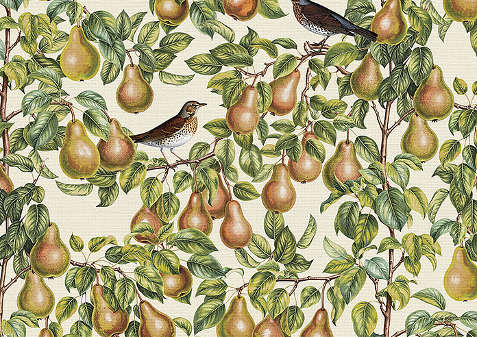 Pears, Petal - Twist&Fit Roman Blind - Image 7